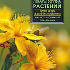Энциклопедия лекарственных растений. Время сбора и народные рецепты