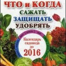 Что и когда сажать, защищать и удобрять. Календарь